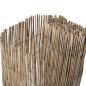 Preview: Gartenzaun 600x90 cm Schilf