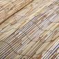 Preview: Gartenzaun 1000x90 cm Schilf