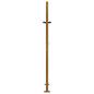 Preview: Gartentor 105x155 cm Cortenstahl Baum-Design