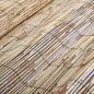 Preview: Gartenzaun 300x100 cm Schilf