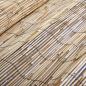 Preview: Gartenzaun 1000x80 cm Schilf