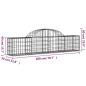 Preview: Gabionen mit Hochbogen 20 Stk. 200x30x40/60 cm Verzinktes Eisen