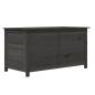 Preview: Outdoor-Kissenbox Anthrazit 100x50x56 cm Massivholz Tanne