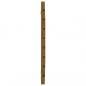 Preview: Wand-Kopfteil Honigbraun 106x3x63 cm Massivholz Kiefer