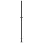 Preview: Gartentor Anthrazit 105x205 cm Stahl Baum-Design