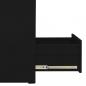 Preview: Aktenschrank Schwarz 46x62x133 cm Stahl