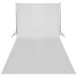 Preview: Fotostudio-Set mit Lampen und Hintergrundsystem