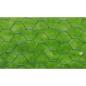 Preview: Drahtzaun mit PVC-Beschichtung 25x0,5 m Grün
