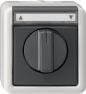 Preview: ARDEBO.de Gira 015430 Jalousietaster/-schalter 1polig mit Beschriftungsfeld 10 A 250 V~ Gruppentaster/Schalter, Aufputz IP 44, grau