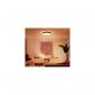 Preview: Philips Hue Enrave XL LED Deckenleuchte, Dimmschalter, 48W, 6100lm, 4000K, schwarz (915005997101)