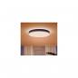 Preview: Philips Hue Enrave XL LED Deckenleuchte, Dimmschalter, 48W, 6100lm, 4000K, schwarz (915005997101)