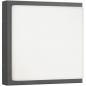 Preview: LCD Wand- und Deckenleuchte Typ 045LEDSEN, 13W, 1180lm, 3000K, mit Bewegungsmelder, graphit