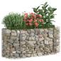 Preview: Gabionen-Hochbeet Verzinktes Eisen 120x50x50 cm