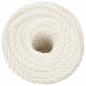 Preview: Arbeitsseil Weiß 10 mm 25 m Polypropylen