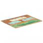 Preview: Tischplatte Rechteckig 60x70 cm 15-16 mm Altholz Massiv