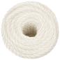 Preview: Arbeitsseil Weiß 10 mm 100 m Polypropylen