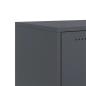 Preview: TV-Schrank Anthrazit 100,5x39x43,5 cm Stahl