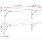 Preview: Wandregale 2 Stk. 75x40 cm Schwarz Edelstahl
