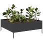 Preview: Hochbeet Schwarz 100x100x25 cm Stahl