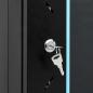 Preview: 15U Netzwerkschrank 19" IP20 Schwarz 53x40x80 cm