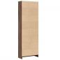 Preview: Bücherregal Braun Eichen-Optik 60x24x176 cm Holzwerkstoff