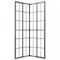 Preview: Duschkabine Matt ESG 80x80x180 cm Schwarz