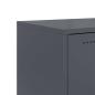 Preview: TV-Schrank Anthrazit 68x39x43,5 cm Stahl