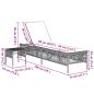 Preview: Sonnenliegen 2 Stk. mit Tisch Grau Poly Rattan