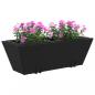 Preview: Pflanzkasten mit Haken 2 Stk. Schwarz Poly Rattan