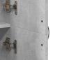 Preview: Aktenschrank Betongrau 60x32x153 cm Holzwerkstoff
