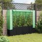 Preview: Hochbeet mit Gewächshaus-Aufsatz Rattan-Optik 160x40x153 cm