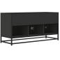 Preview: TV-Schrank Schwarz 100x35x50 cm Holzwerkstoff und Metall