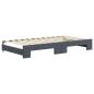 Preview: Tagesbett Ausziehbar mit Schubladen Dunkelgrau 100x200 cm Samt