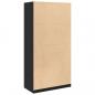 Preview: Kleiderschrank Schwarz 100x50x200 cm Holzwerkstoff