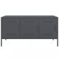 Preview: TV-Schrank Anthrazit 100,5x39x50,5 cm Stahl