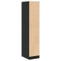 Preview: Apothekerschrank Schwarz 30x41x144,5 cm Holzwerkstoff