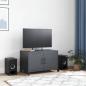 Preview: TV-Schrank Anthrazit 68x39x43,5 cm Stahl