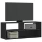 Preview: ARDEBO.de - TV-Schrank Schwarz 100x31x39,5 cm Holzwerkstoff und Metall