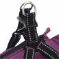 Preview: Hundemantel mit Geschirr Wasserdicht Reflektierend Lila L