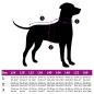Preview: Hundemantel mit Geschirr Wasserdicht Reflektierend Lila L