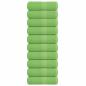 Preview: Seiftücher 10 Stk. Apfelgrün 30x30 cm 360 g/m² 100% Baumwolle