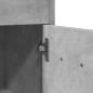 Preview: Badezimmerschrank Betongrau 60x33x80 cm Holzwerkstoff