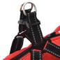 Preview: Hundemantel mit Geschirr Wasserdicht Reflektierend Rot S