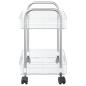 Preview: Aufbewahrungswagen 2 Etagen Transparent 37x28x43,5 cm Acryl