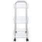 Preview: Aufbewahrungswagen 3 Etagen Transparent 37x28x68 cm Acryl