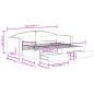 Preview: Tagesbett Ausziehbar mit Schubladen Dunkelgrau 80x200 cm Samt