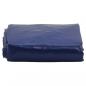 Preview: Abdeckplane Blau 1,5x2,5 m 650 g/m²