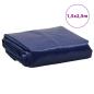 Preview: Abdeckplane Blau 1,5x2,5 m 650 g/m²