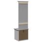 Preview: Flurschrank mit Haken BODO Grau 50x40x157 cm
