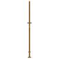 Preview: Gartentor 105x205 cm Cortenstahl Gras-Design